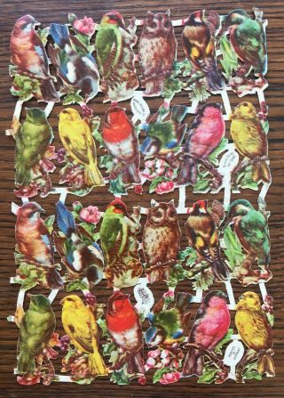 Sheet Orig.  Victorian Raphael Tuck Embossed Die Cut Scraps,  British Birds
