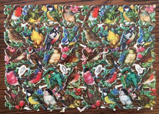 Sheet Orig.  Victorian Raphael Tuck Embossed Die Cut Scraps,  Garden Birds