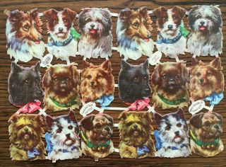 Sheet Orig.  Victorian Raphael Tuck Embossed Die Cut Scraps Favourite Dogs