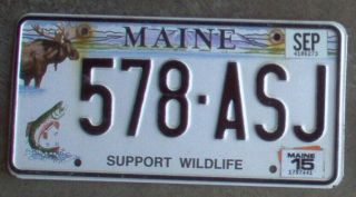 2015 Maine Fish & Moose " Support Wildlife " License Plate.