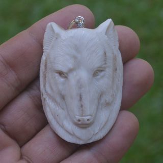 Wolf Head Carving 52x35mm Pendant P3679 W/ Silver In Antler Hand Carved
