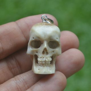 Skull Carving Pendant Keyrings 32mm In Height P3932 W/ Silver In Antler Carved
