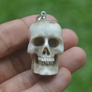Skull Carving Pendant Keyrings 35mm In Height P3934 W/ Silver In Antler Carved