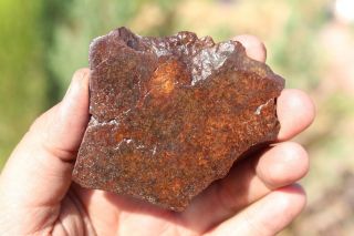 Mandaly Spring Meteorite Full Slice 32.  5 Grams