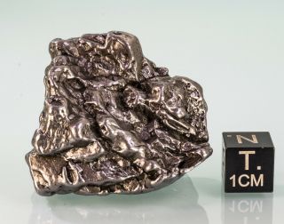 Campo Del Cielo Iron Meteorite Coarse Octahedrite Chaco Argentina 41mm 82gr