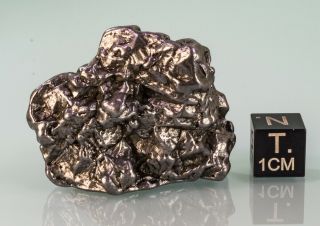 Campo del Cielo Iron Meteorite Coarse Octahedrite Chaco Argentina 41mm 82gr 2