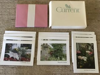 Current “secret Garden” 12 Photo Note Cards 3 Different Photos 12 Envelopes