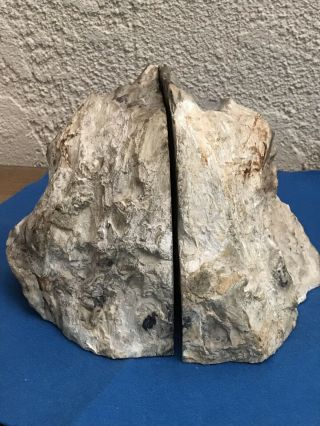 Petrified Wood Polished Rock Stone Bookends Pair 2