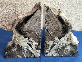 Petrified Wood Polished Rock Stone Bookends Pair 7