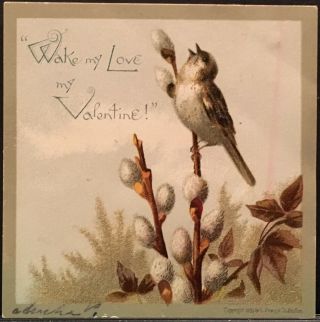 Prang 1883 Victorian Valentine’s Day Card Bird On Pussy Willow Branch