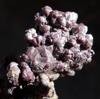 Mw: CUPRITE on NATIVE COPPER - Arizona - Crystal Specimen 4