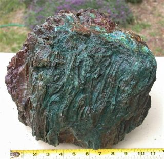 Old Stock Display Specimen Green Hampton Butte Petrified Wood over 35 pounds. 2