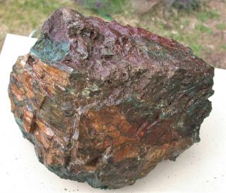Old Stock Display Specimen Green Hampton Butte Petrified Wood over 35 pounds. 3