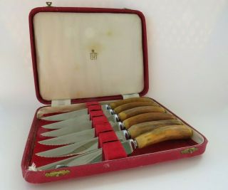 Cased Set Of Vintage Stag Antler Steak Knives Sheffield England For Birks