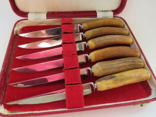 Cased set of Vintage Stag antler steak knives Sheffield England For BIRKS 2