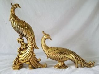 Large Syroco Peacock Set Pair Gold Gilt Birds Usa Mid Century Vintage Decor