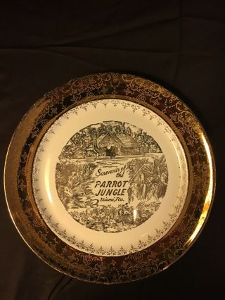 Vintage Souvenir Plate Of The Parrot Jungle Miami,  Fla