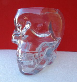 Skull Clear Glass Candy Bowl Vase Halloween Festive