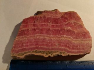 Rhodochrosite Slab 1/2 " Thick Great Color Lapidary Argentina Over Half Pound