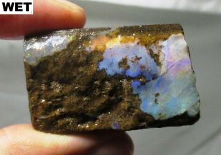45 Gram Boulder Opal Rough Chunk - Australia Cabbing Material
