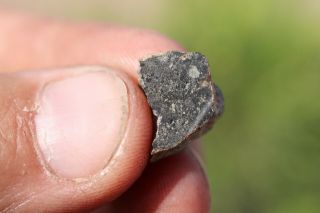 Lunar Meteorite Nwa 11474 Meteorite End Cut.  8 Grams