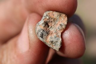 Lunar Meteorite NWA 11474 Meteorite end cut.  8 grams 3