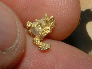 California Gold Quartz Specimen Natural Gold.  52 Gram Micromount