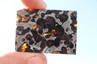 Sericho Meteorite Pallasite From Kenya Part Slice 12.  6 Grams