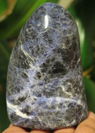 88mm 9.  1oz Natural Sodalite Jasper Crystal Polished Gem