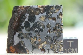 Sericho Pallasite Meteorite From Kenya Africa Habaswein 43.  9 Gram Part Slice
