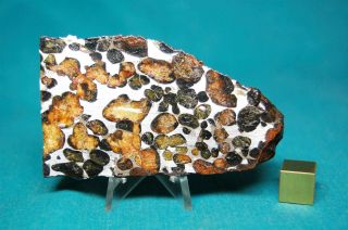 Sericho Pallasite Meteorite 84.  4 Grams