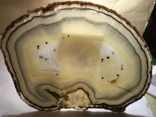 3 Pound 11” Polished Slice Rare Large Brazilian Geode On Stand