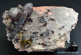 Quartz Crystal Cluster with Hematite Inclusions Orange River S.  A 11.  8x7.  8x5.  7 cm 2