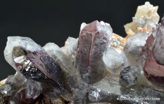 Quartz Crystal Cluster with Hematite Inclusions Orange River S.  A 11.  8x7.  8x5.  7 cm 4