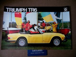British Leyland 1974 Triumph Tr6 Factory Dealer Poster 35 " By 28 "