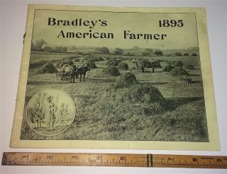 Rare Antique Victorian American Bradley 