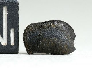 Meteorite Aguas Zarcas - Cm2 Carbonaceous Half Oriented Heat Shield Costa Rica