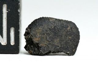 Meteorite AGUAS ZARCAS - CM2 carbonaceous half oriented heat shield Costa Rica 2