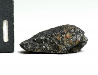 Meteorite AGUAS ZARCAS - CM2 carbonaceous half oriented heat shield Costa Rica 4