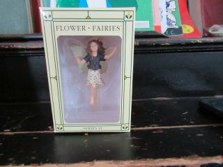 Flower Fairies Series Two Blackthorn Fairies 86912 Cicely Mary Barker
