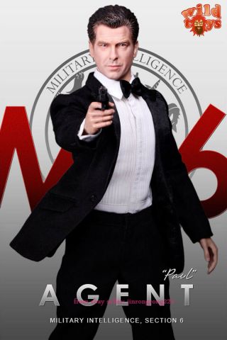 Did Wt21 1/6 Mi6 Special Agent Paul Agent 007 Bond Pierce Brosnan Figure Toy 5