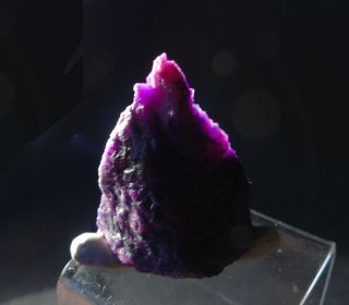 dkd 41R/ 33.  5grams Partly Gel Purple Sugilite rough 5