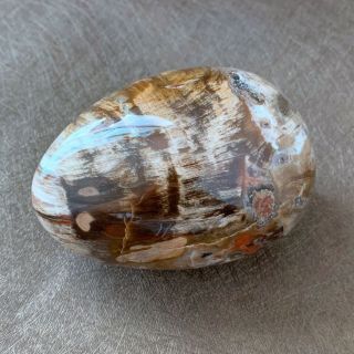 535g Petrified Wood Egg Specimen Polished Rock Fossil Madagascar J002