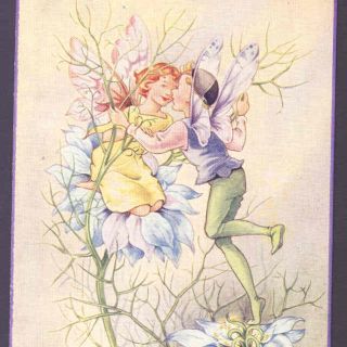 Near.  Rene Cloke " Love - In - A - Mist ",  Flower Fairies,  Vintage Postcard