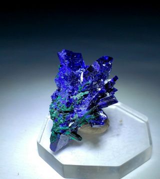 Wow Rare - Blue Azurite Crystals W/green Brochantite,  Milpillas Mine Mexico