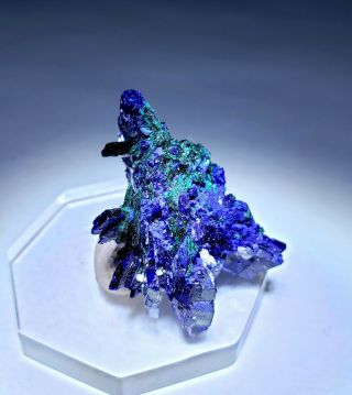 WOW RARE - Blue Azurite crystals w/Green Brochantite,  Milpillas mine Mexico 3