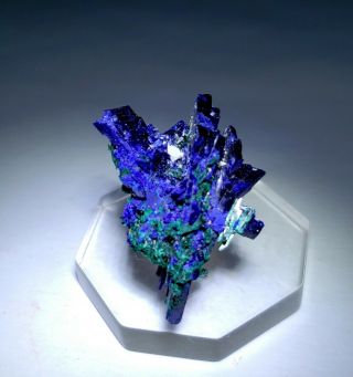 WOW RARE - Blue Azurite crystals w/Green Brochantite,  Milpillas mine Mexico 6