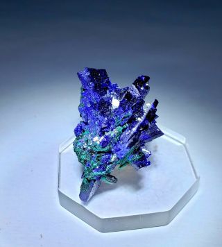 WOW RARE - Blue Azurite crystals w/Green Brochantite,  Milpillas mine Mexico 7