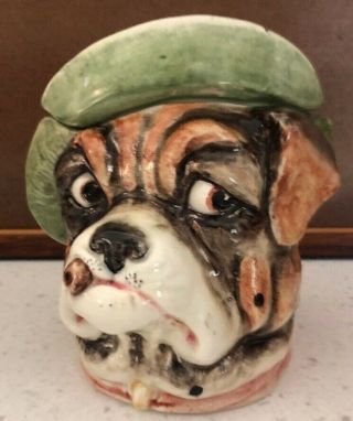 Majolica Dog Bulldog Tobacco Jar 5 - 1/2”