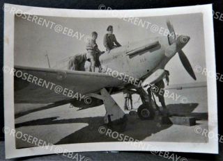 Ww2 Raf Tropical Hawker Hurricane " Slr " & Pilot In The Desert - Photo 8.  5 By 6cm